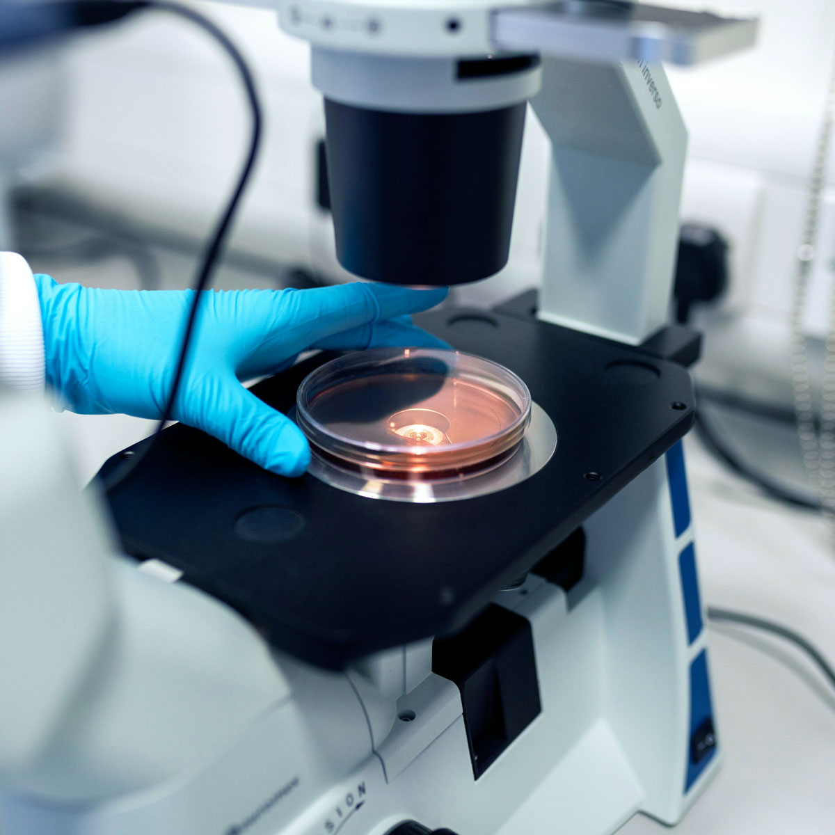 Kivete za laboratorije - BazicoLab kategorije laboratorijske opreme i materijala